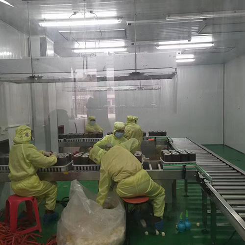 開創雲(yun)全域建站